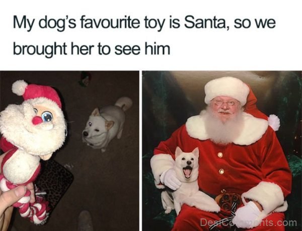 My Dog's Favourite Toy Is Santa