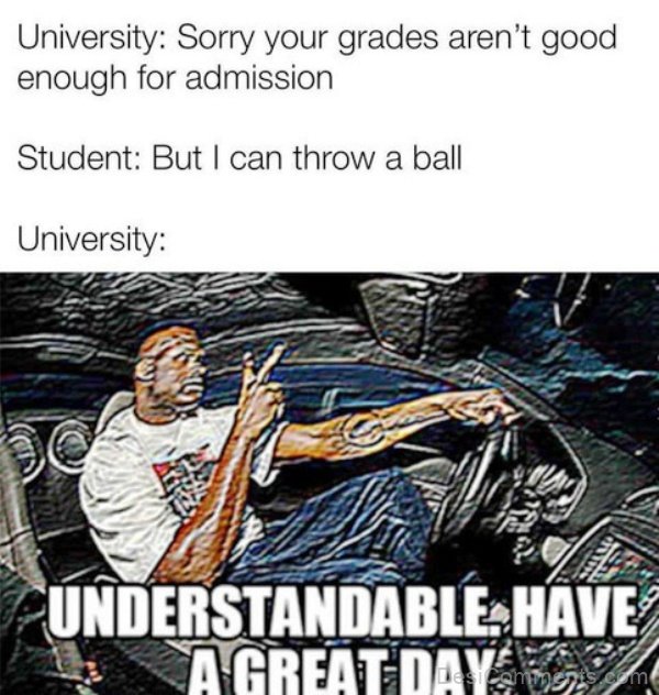 Sorry Your Grades