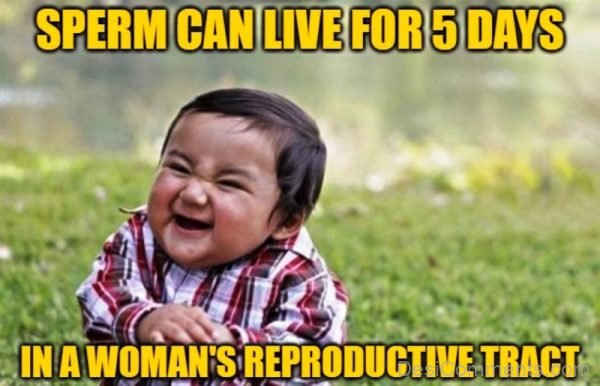 Sperm Can Live For 5 Days