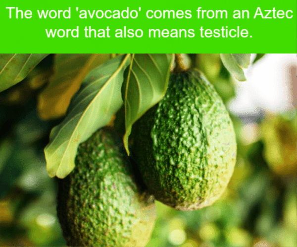 The Word Avocado