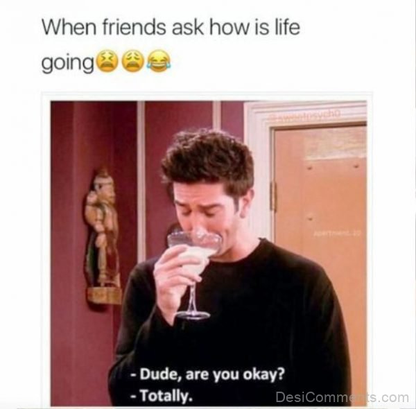 When Friends Ask How Is Life