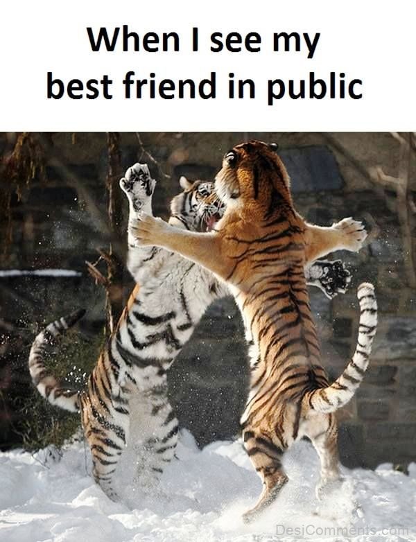 When I See My Best Friend