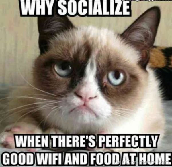 Why Socialize