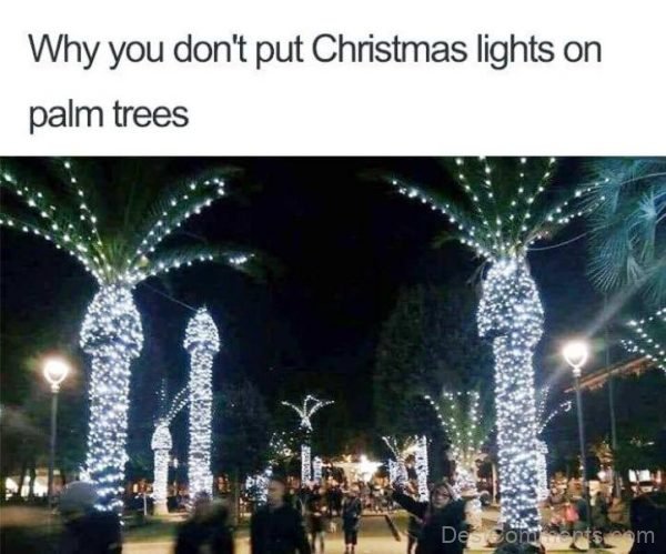 Why You Don't Put Christmas Lights