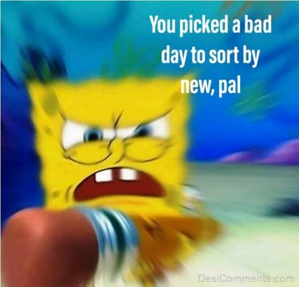 You Picked A Bad Day