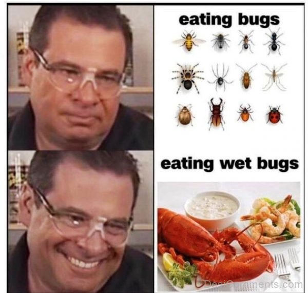 Eating Bugs