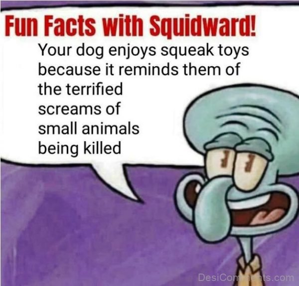 Fun Facts With Squidward