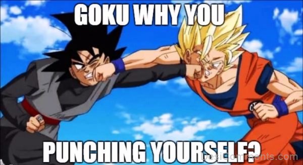 Goku Why You