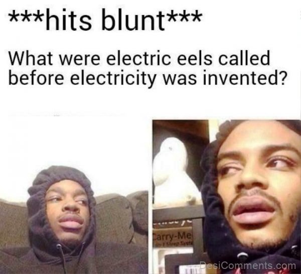 Hits Blunt