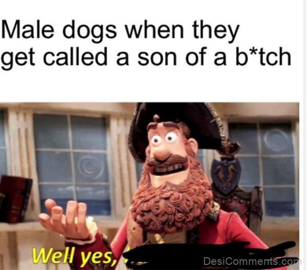 Male Dogs