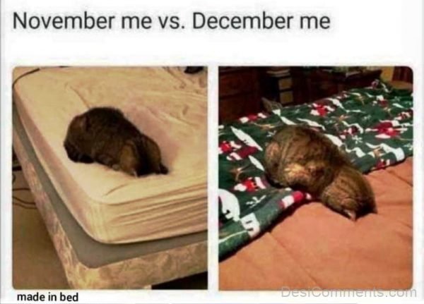 November Me Vs December Me