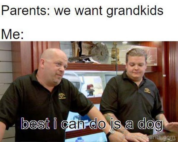We Want Grandkids