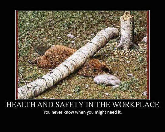 Health And Safety - DesiComments.com