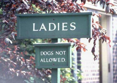 Ladies And Dogs Not Allowed