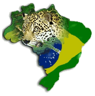 Brazil Graphic #86
