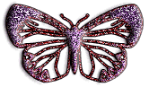 Glorious Butterfly Graphic!!