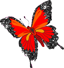Butterfly Red Graphic