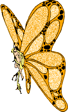 Nice Golden Butterfly Graphic!