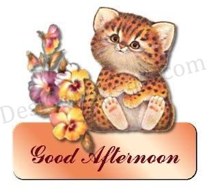 Cute Good Afternoon