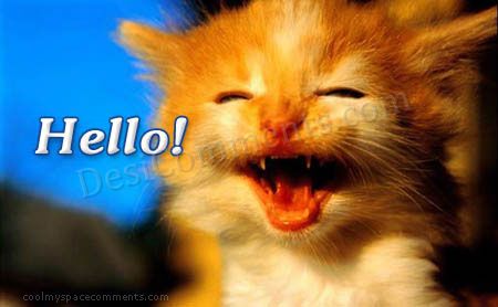Cute Cat Saying Hello! - DesiComments.com