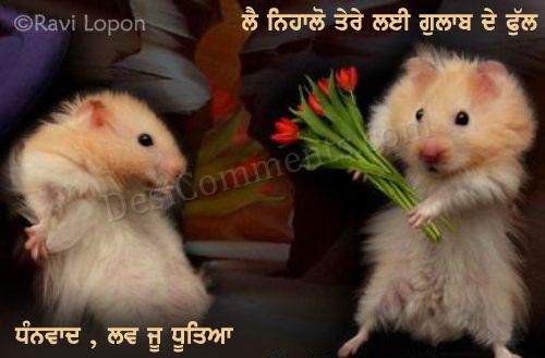 Love you
