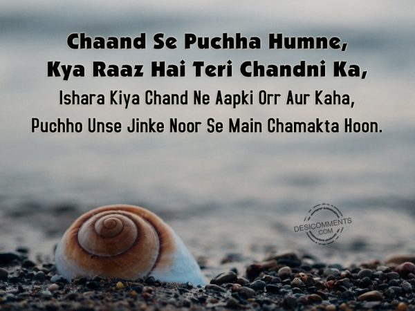 Chaand Se Puchha Humne