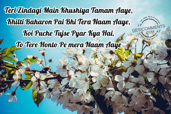 Teri Zindagi Main