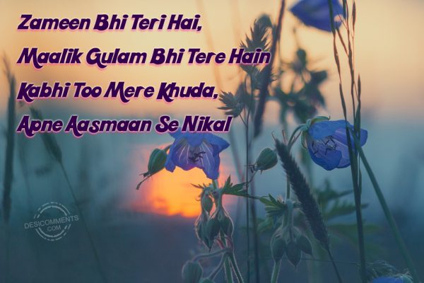 Zameen Bhi Teri Hai
