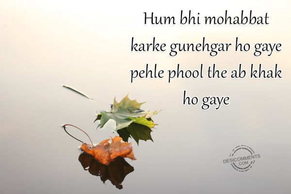 Hum Bhi Mohabbat Karke