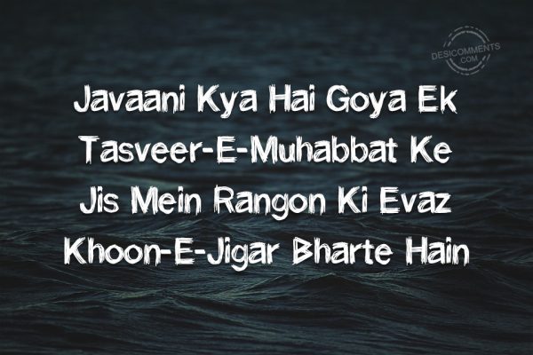 Javaani Kya Hai Goya Ek