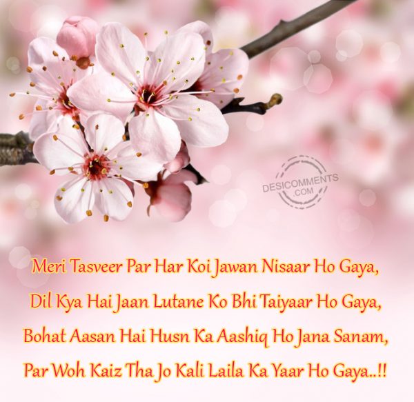 Meri Tasveer Par Har Koi