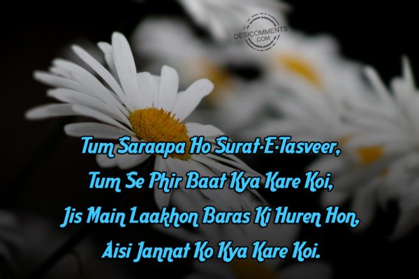 Tum Saraapa Ho Surat-E-Tasveer