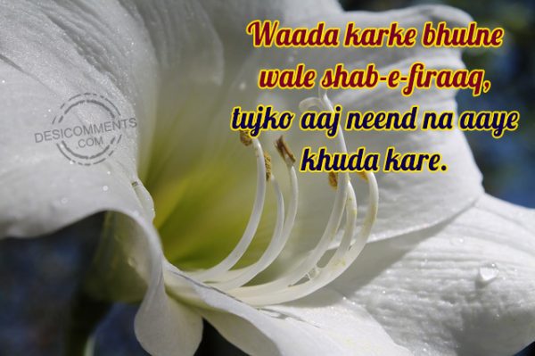 Waada Karke Bhulne