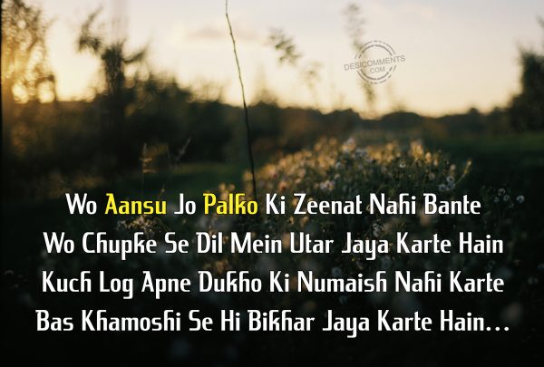 Wo Aansu Jo Palko Ki