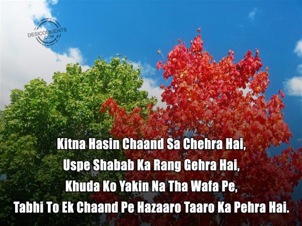 Kitna Hasin Chaand Sa Chehra Hai