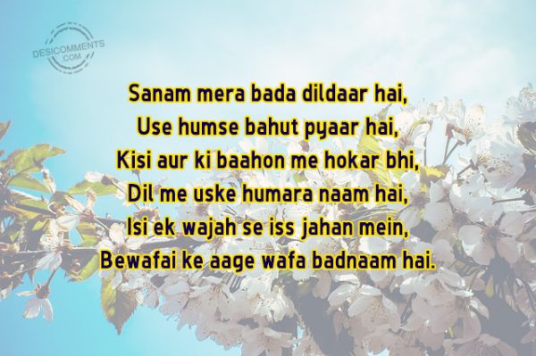 Sanam Mera Bada Dildaar Hai