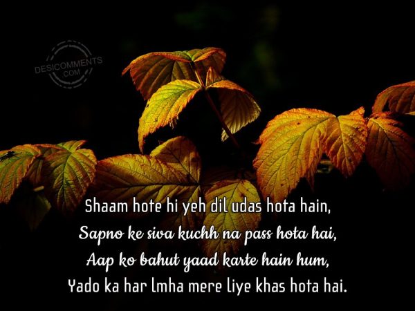 shaam-hote-hi-yeh-dil