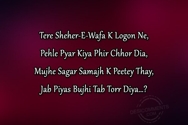 Tere Sheher-E-Wafa K Logon Ne