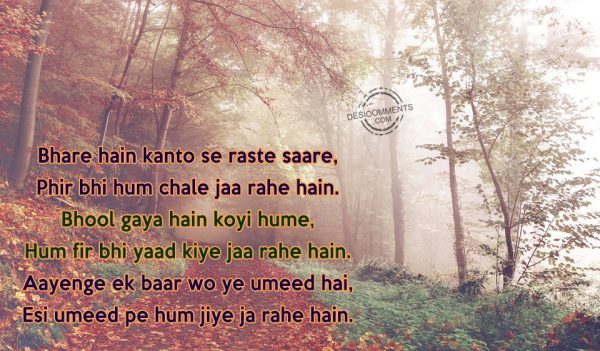 bhare-hain-kanto-se-raste-saare