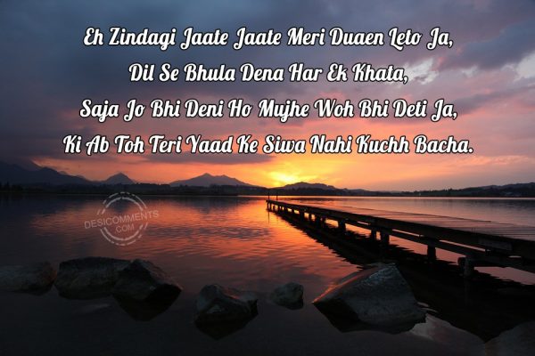 eh-zindagi-jaate-jaate-meri-duaen-leto-jaa