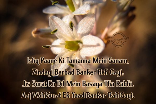 ishq-paane-ki-tamana-mein-sanam