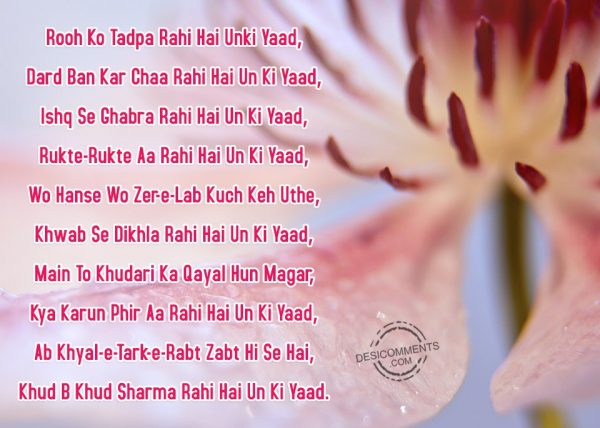 rooh-go-tadpa-rahe-hai-unki-yaad-dar-ban-kar-chaa-rahi-hai-un-ki-yaad