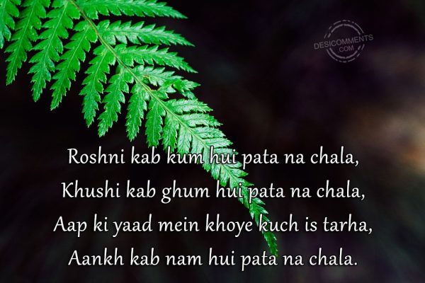 roshni-kab-kum-hui-pata-na-chala