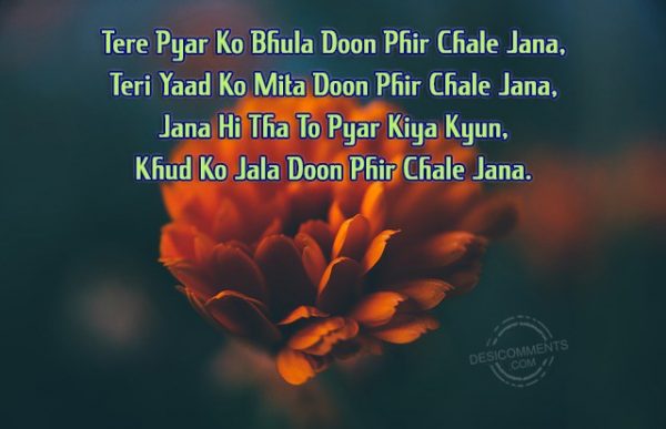 tere-pyar-ko-bhula-doon-phir-chale-jana