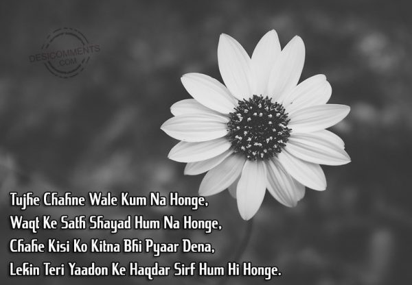 tujhe-chahne-wale-hum-na-honge