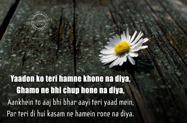 yaadon-ko-teri-hamne-khone-na-diya