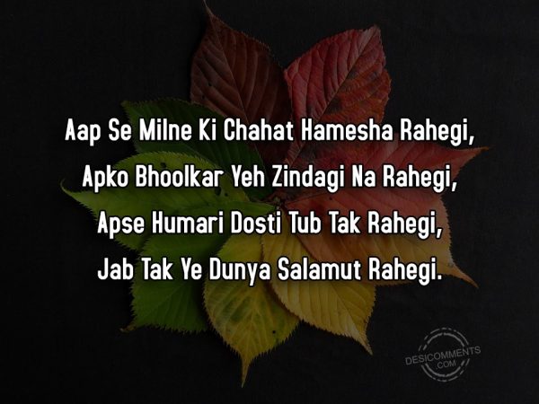 aap-se-milne-ki-chahat-hamesha-rahegi