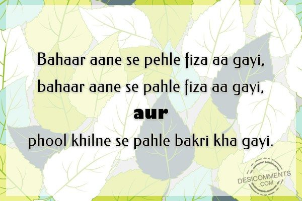 bahaar-aane-se-pehle-fiza-aa-gayi