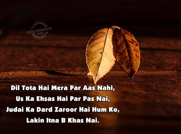 dil-tota-hai-mera-par-aas-nahi