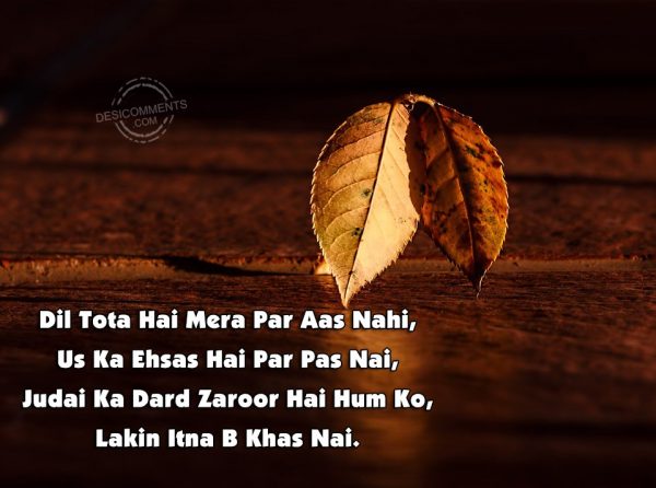 dil-tota-hai-mera-par-aas-nahi